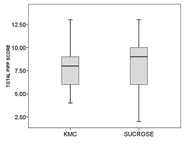 Box Plot depicting total PIPP scores across groups